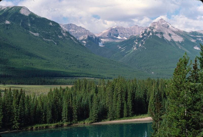 Banff NP 1986
