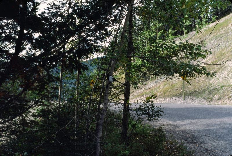 Banff NP 1986