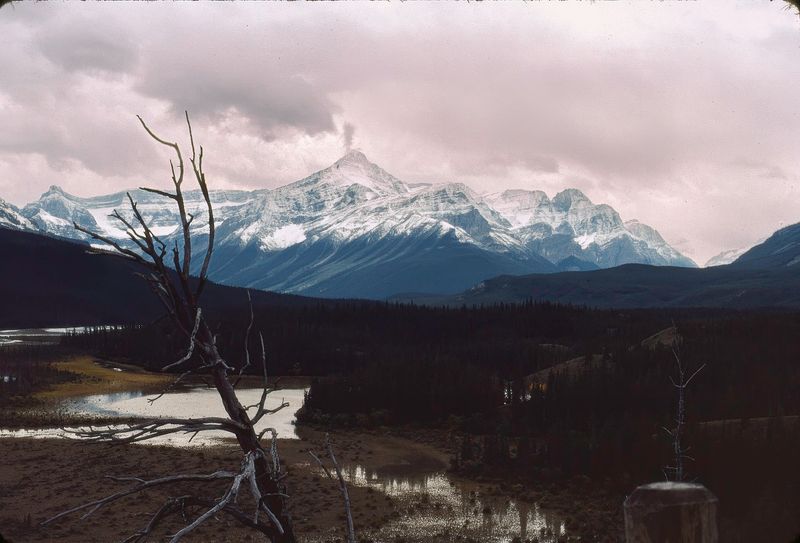 Banff NP 1986