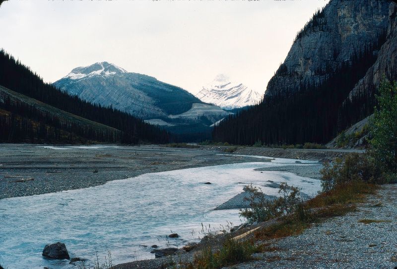Banff NP 1986