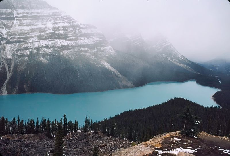 Banff NP 1986