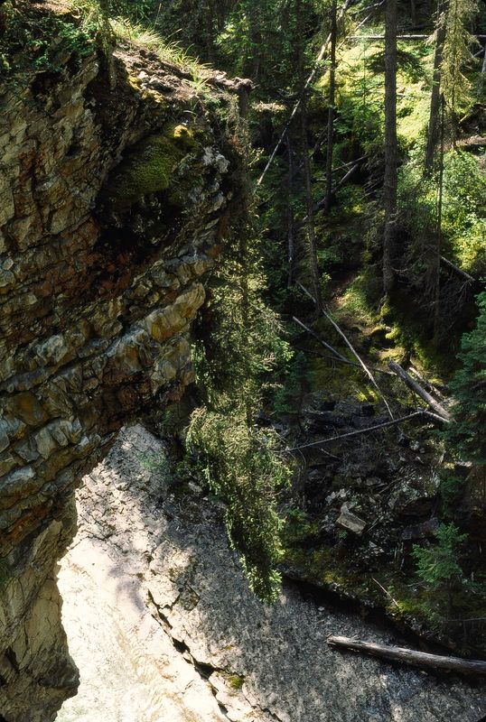 Banff NP 1986