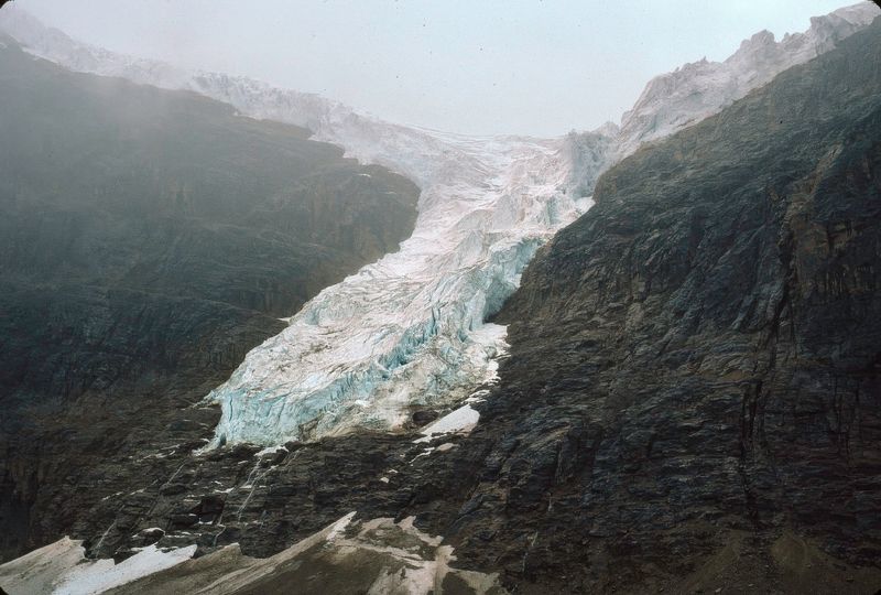 Jasper NP 1986