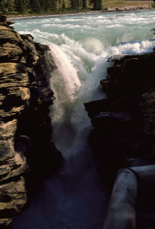 Jasper NP 1986