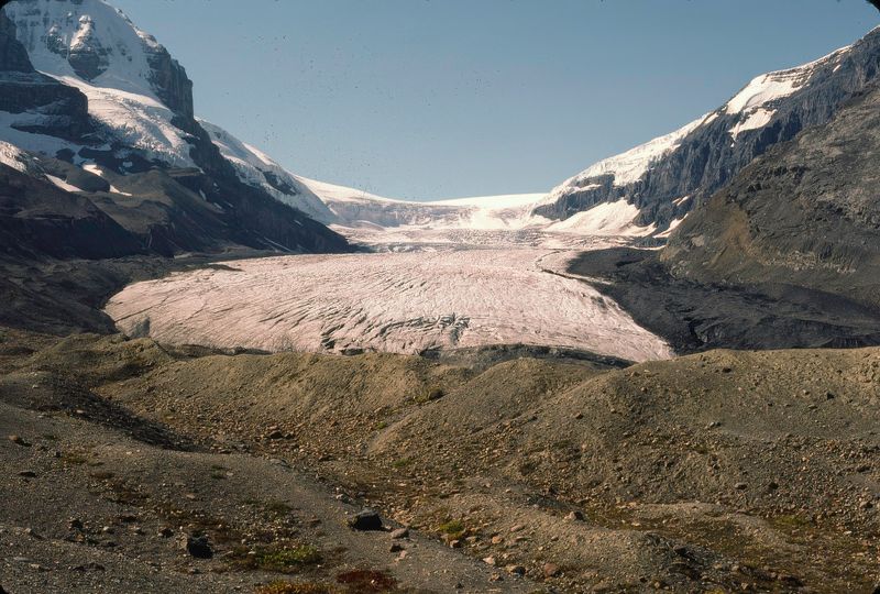 Jasper NP 1986