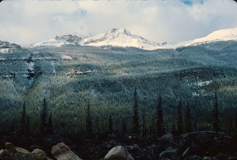 Jasper NP 1986