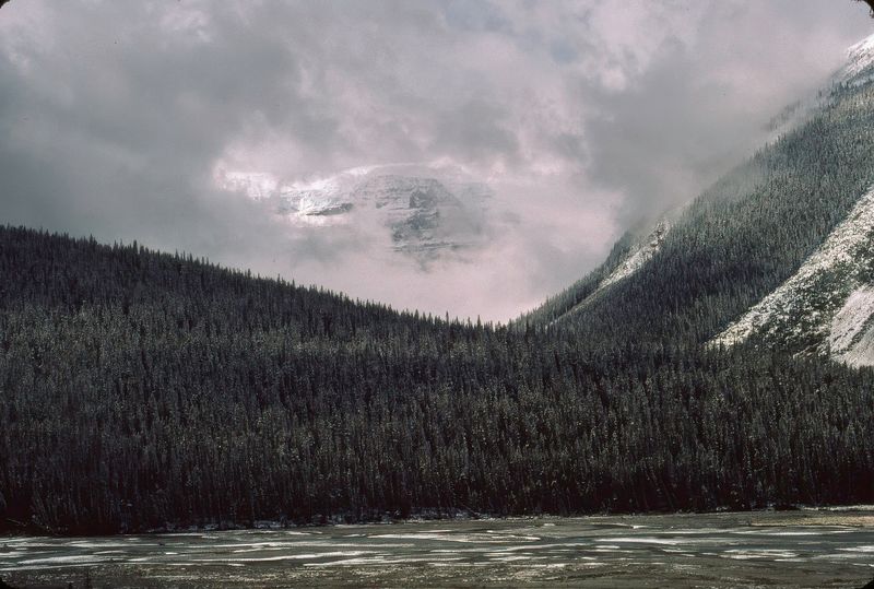 Jasper NP 1986