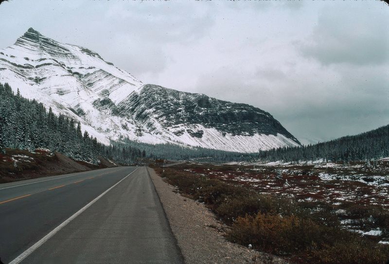 Jasper NP 1986