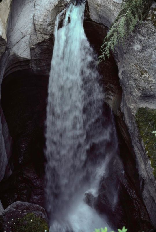 Jasper NP 1986