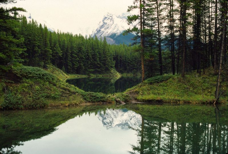Jasper NP 1986