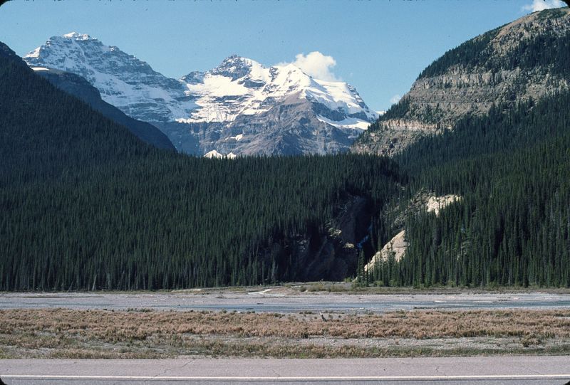 Jasper NP 1986