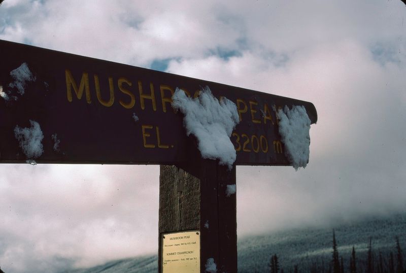 Jasper NP 1986