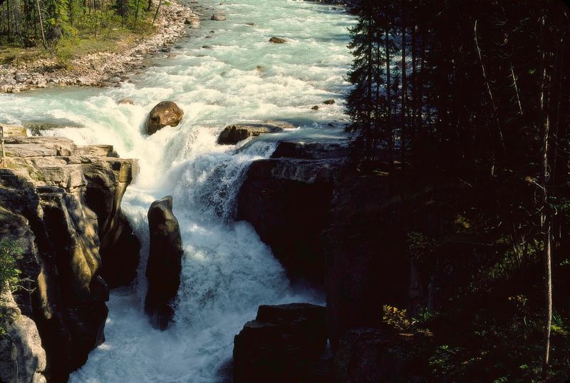 Jasper NP 1986