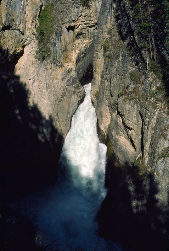 Jasper NP 1986