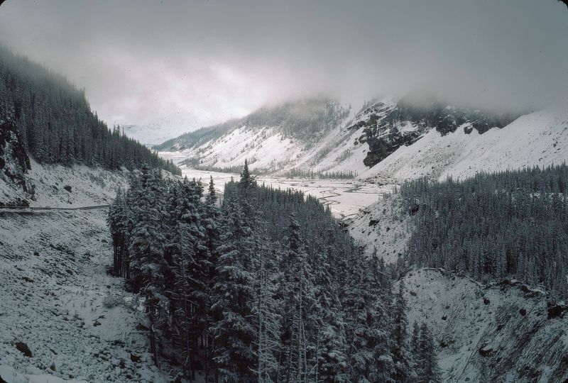 Jasper NP 1986