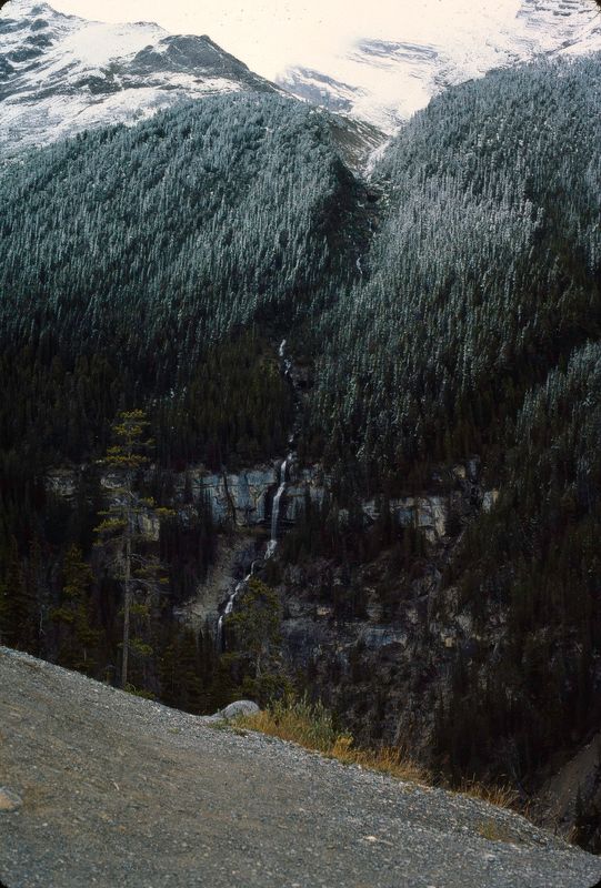 Jasper NP 1986