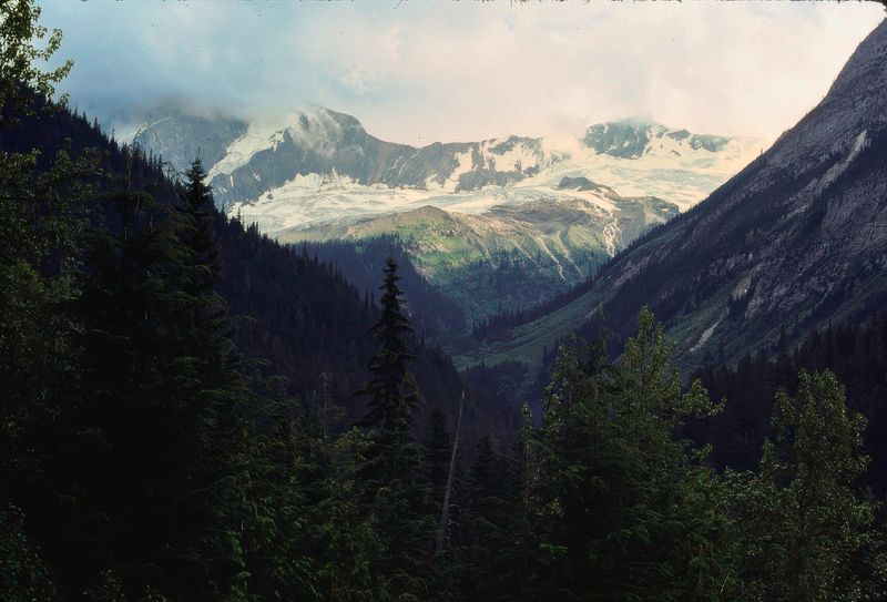 Glacier NP Canada 1989
