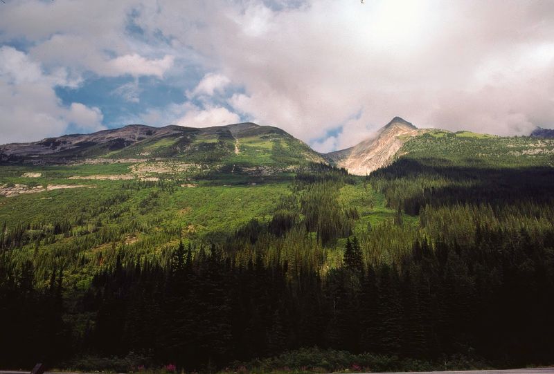 Glacier NP Canada 1989
