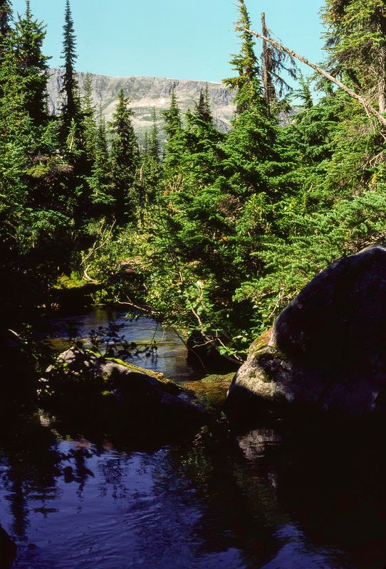 Glacier NP Canada 1989