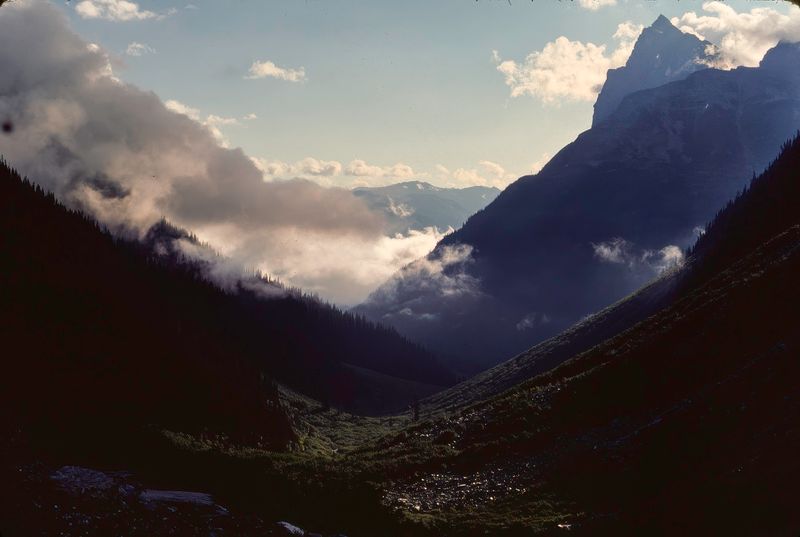 Glacier NP Canada 1989