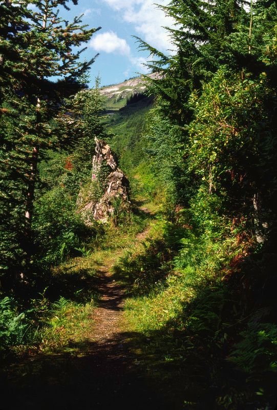 Glacier NP Canada 1989