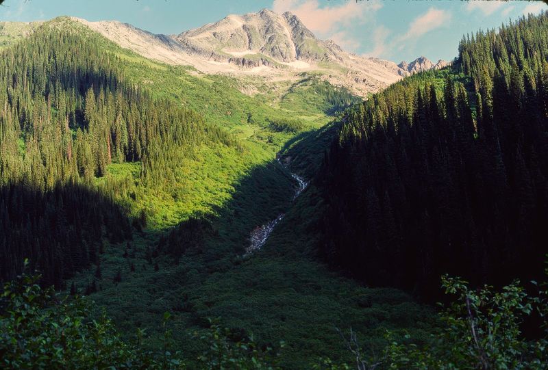 Glacier NP Canada 1989