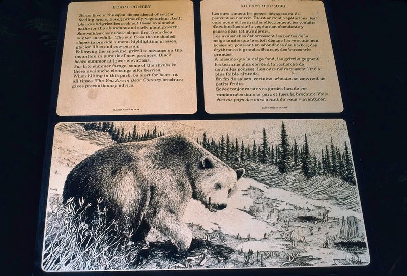 Glacier NP Canada 1989