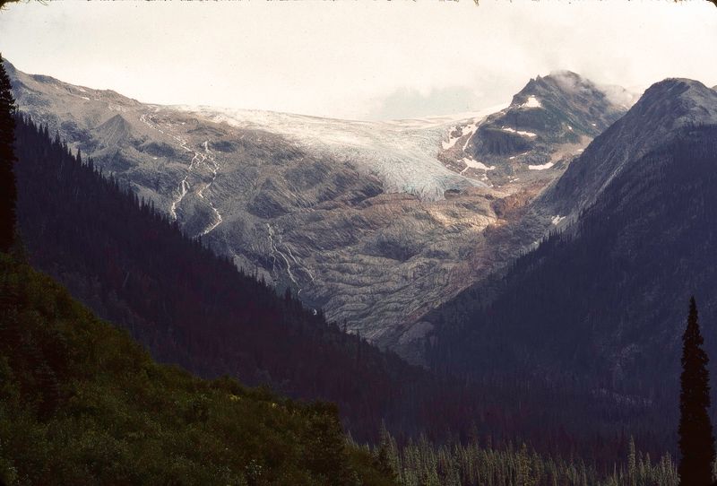Glacier NP Canada 1989
