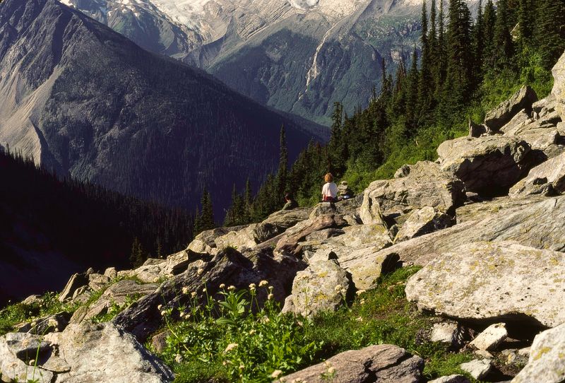 Glacier NP Canada 1989