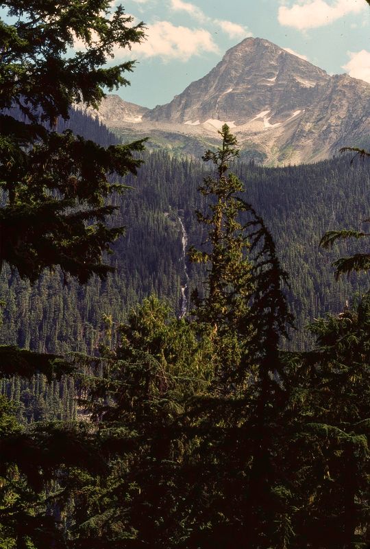 Glacier NP Canada 1989