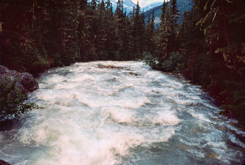 Glacier NP Canada 1989
