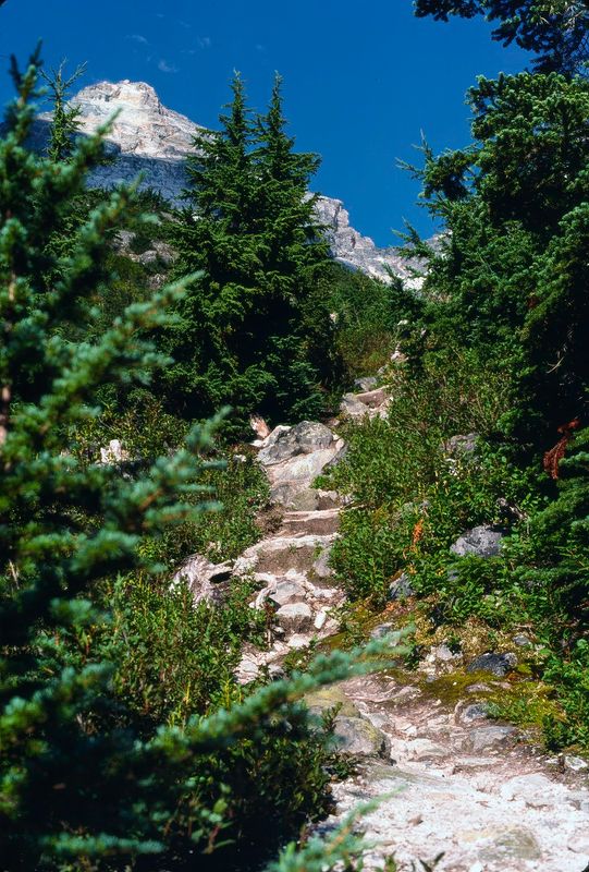 Glacier NP Canada 1989