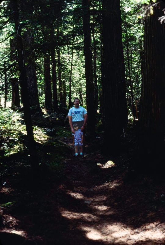 Revelstoke NP 1989