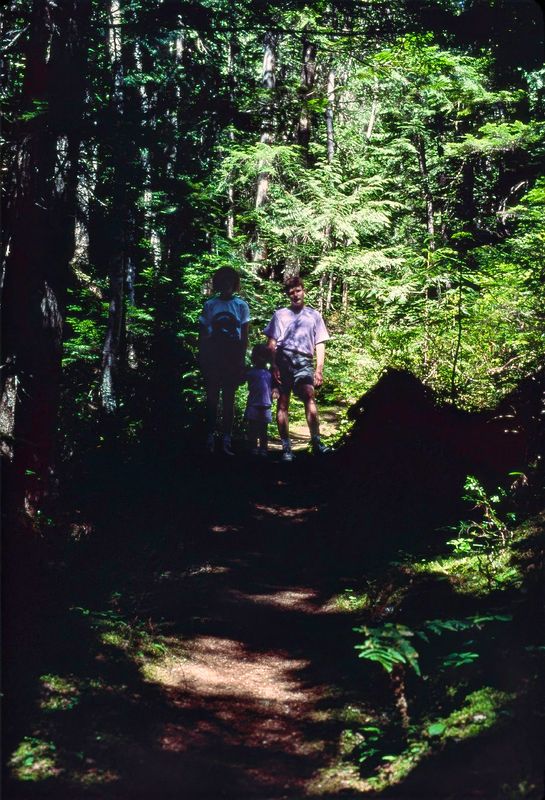Revelstoke NP 1989