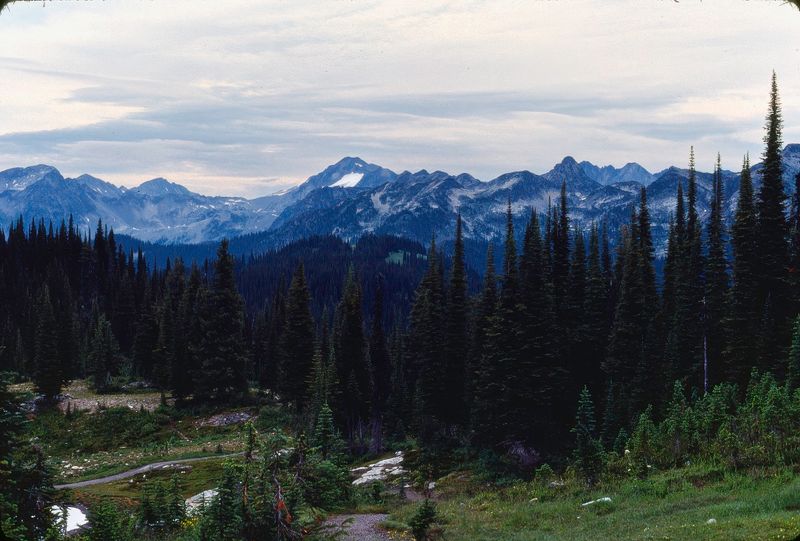 Revelstoke NP 1989