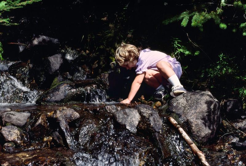 Revelstoke NP 1989