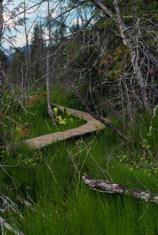 Revelstoke NP 1989