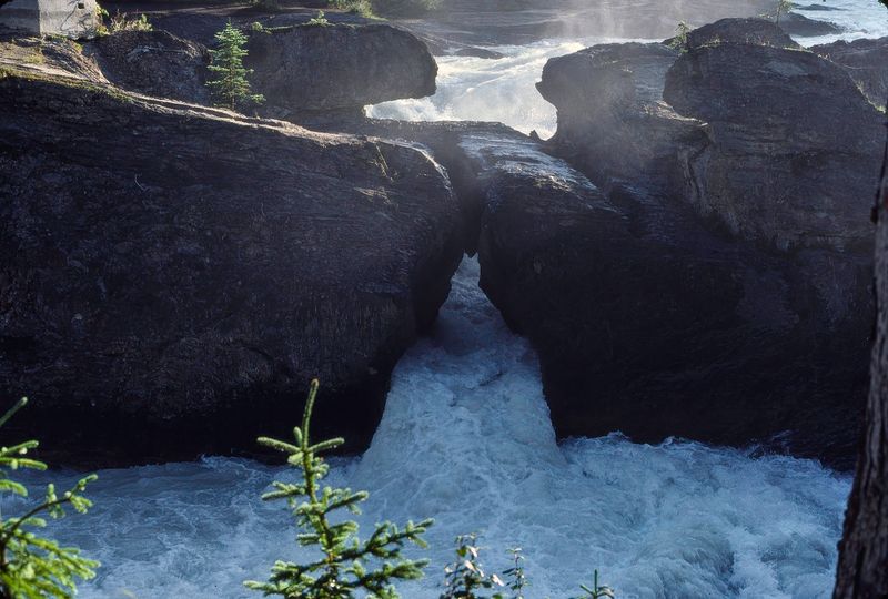 Yoho NP 1989