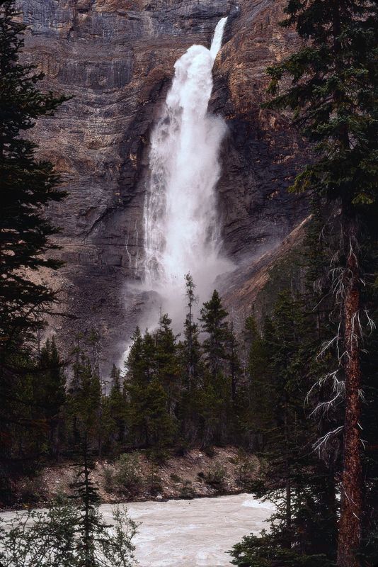 Yoho NP 1989