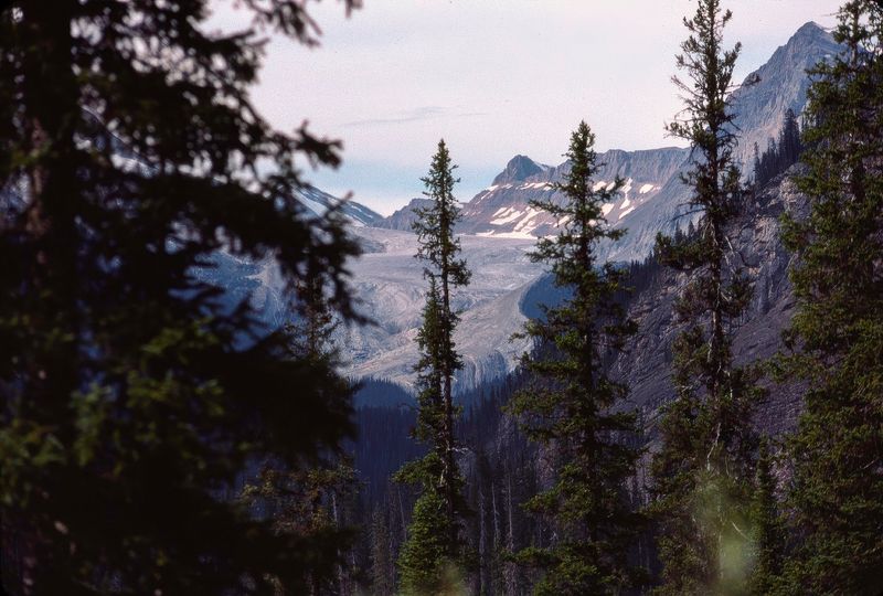 Yoho NP 1989
