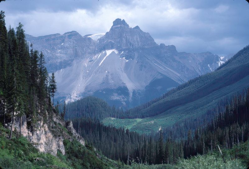 Yoho NP 1989