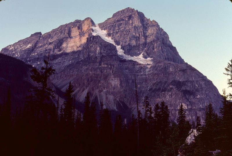 Yoho NP 1989