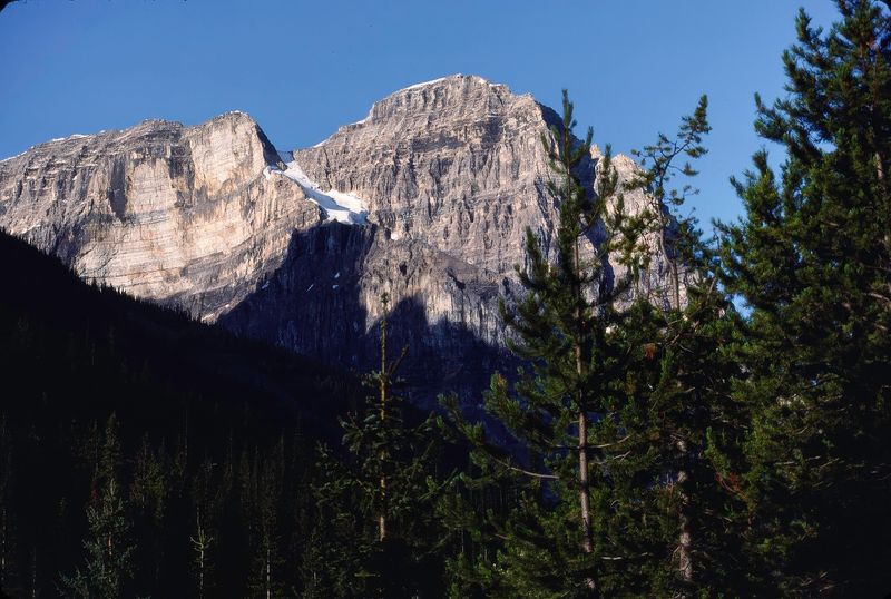 Yoho NP 1989