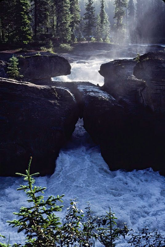 Yoho NP 1989