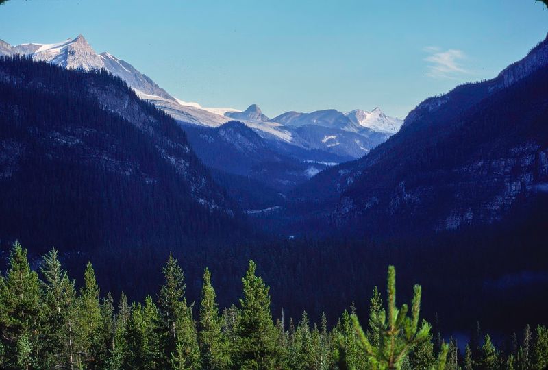 Yoho NP 1989