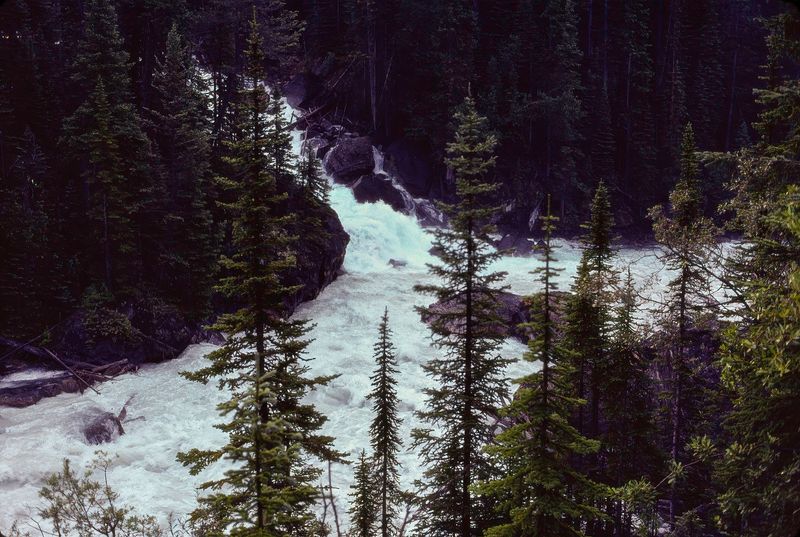 Yoho NP 1989