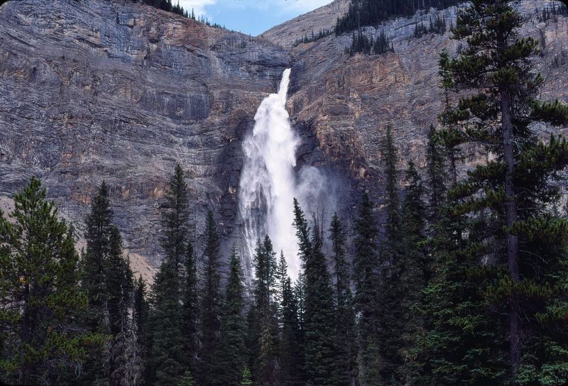 Yoho NP 1989