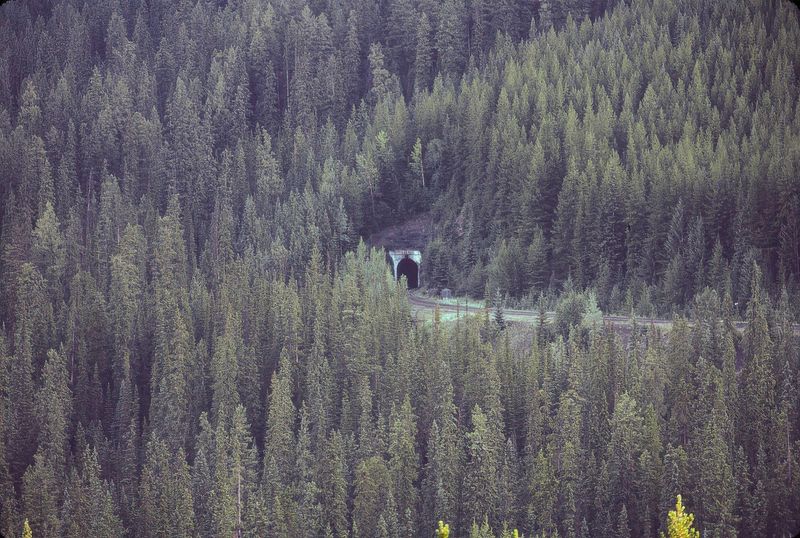Yoho NP 1989