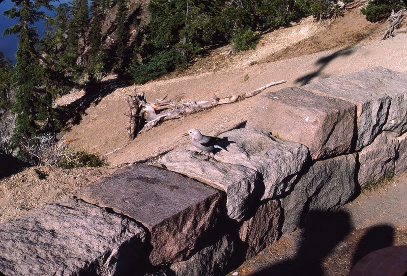 Crater Lake NP 1985