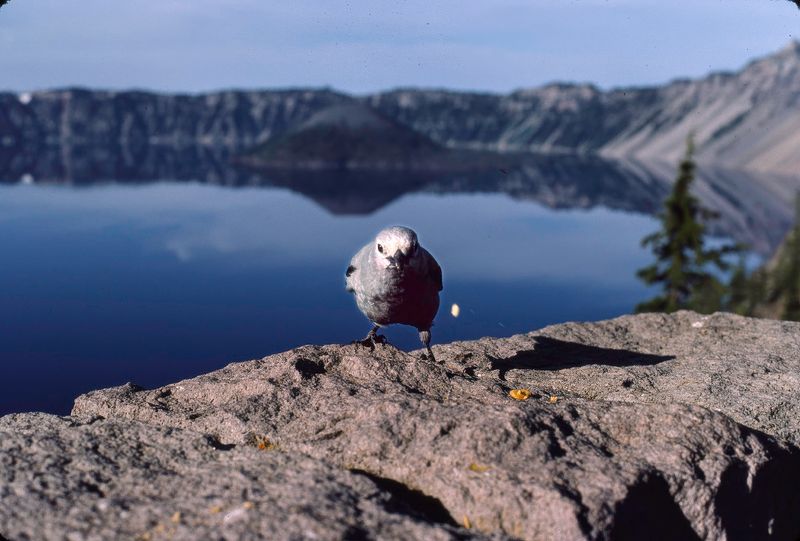 Crater Lake NP 1985